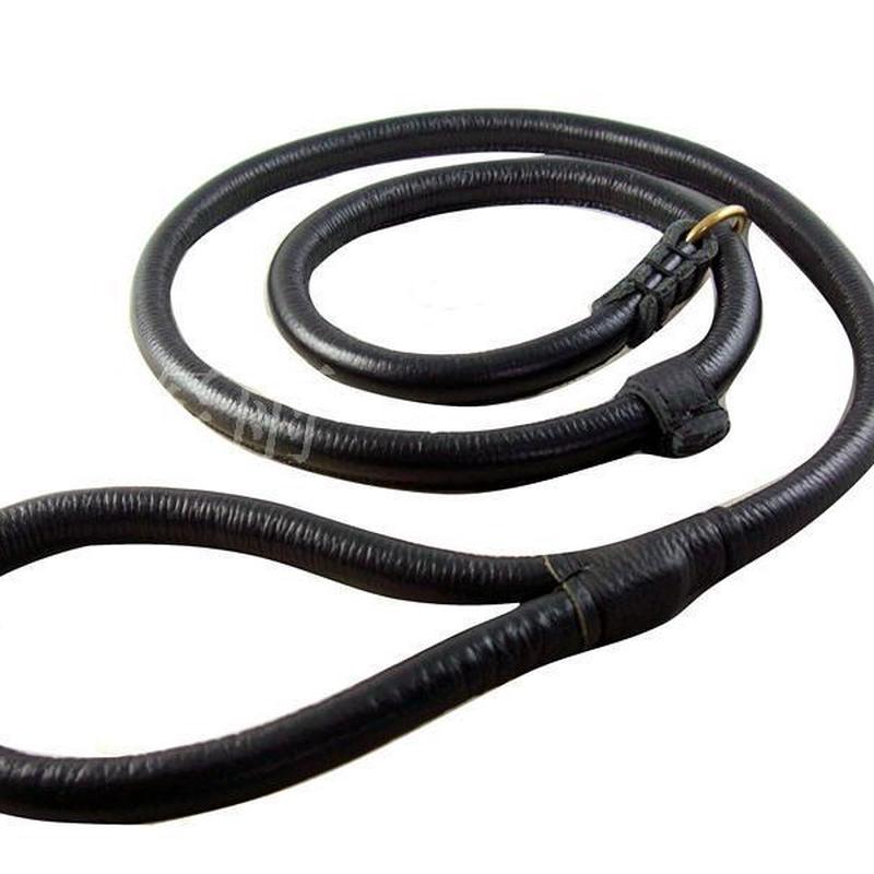 狗项圈牵引绳宠物项圈p链中大型犬狗链宠物用品套装金毛萨摩