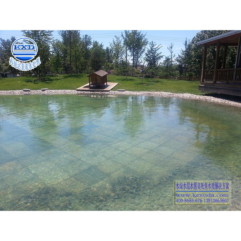 热销鱼池水过滤江西宜春别墅水景过滤器浓绿水高浊水3清澈见底质