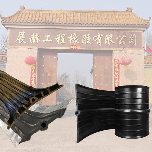 中埋式橡胶止水带651型钢边外贴背贴式EVA可卸式pvc塑料止水带ECB