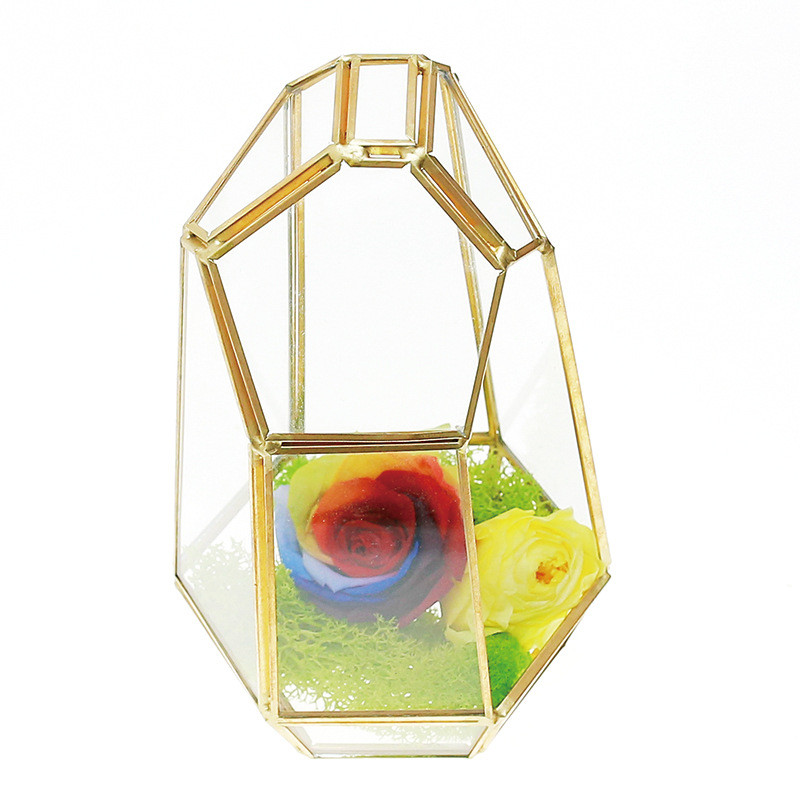 苔藓玻璃植物微景观生态瓶盆罩创意礼品物花房批发绿植