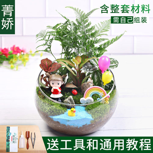 15cm切口苔藓微景观diy材料包创意玻璃球生态瓶子物礼品摆件套装