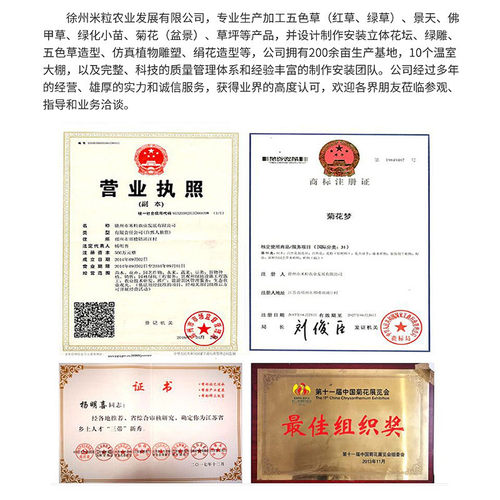 仿真园林景观五色草造型工艺绿雕绿雕创意绿雕大型户外摆件