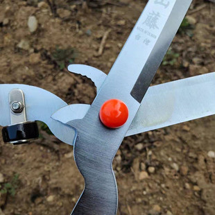 销售山藤两用篱笆剪绿篱剪粗枝草坪剪园林绿化工具大剪刀草剪