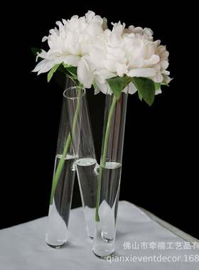 圆形简约水培花瓶玻璃花瓶绿萝水养植物器皿派对装饰插花花瓶透明