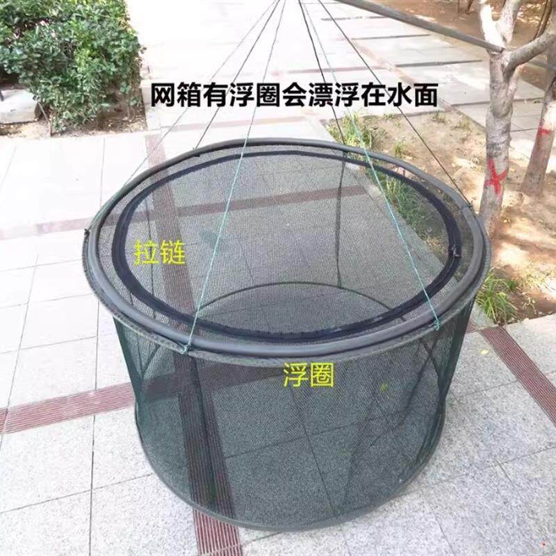 养殖网箱折叠养鱼锦鲤漂浮网圈鱼护病鱼隔离网箱可折叠装鱼护箱网