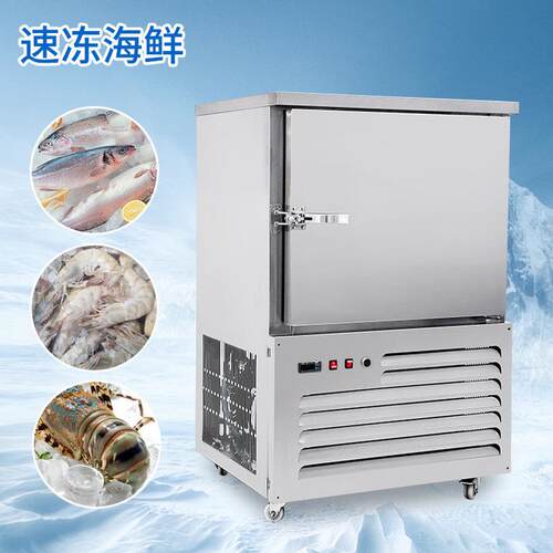 山东海参冷冻柜快速冷冻机/即食罗氏虾急冻柜小型手工饺子速冻机