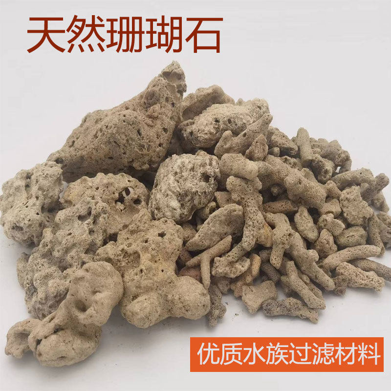 珊瑚骨滤材鱼缸过滤材料鱼池珊瑚石底砂水族箱造景沙稳定净化水质图片