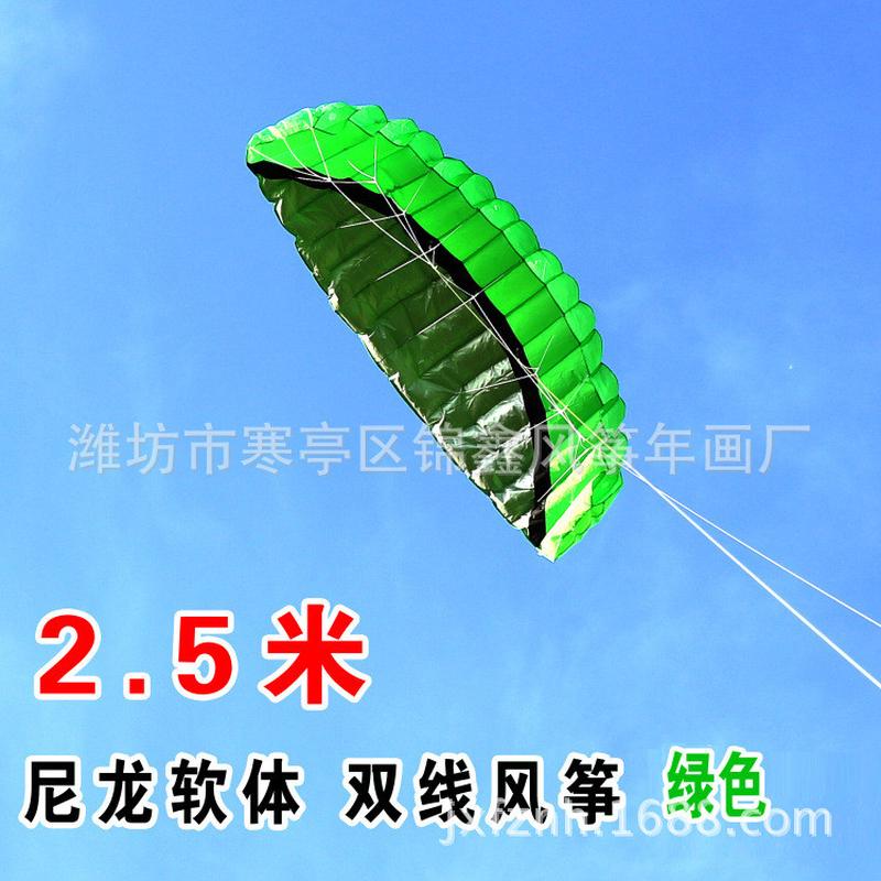 3d立体潍坊双线软体风筝送展开约250*87cm批发放飞工具品质好kx