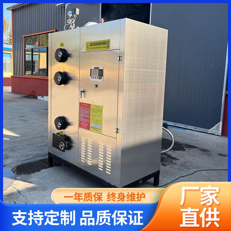 热销果蔬生物质蒸汽发生器做蔬菜不锈钢烘干蒸汽机洗涤熨烫烘干蒸