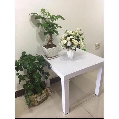 小方桌拉克边桌家居简约现代茶几经济户型简易边超市堆头子