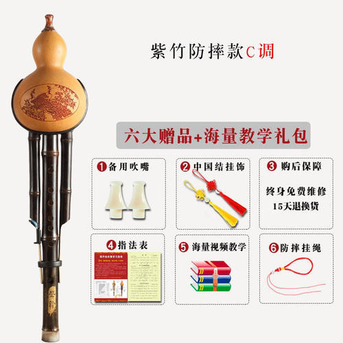 葫芦丝乐器儿童成人防摔型c降b调初学专业演奏双音天然紫竹胡芦丝