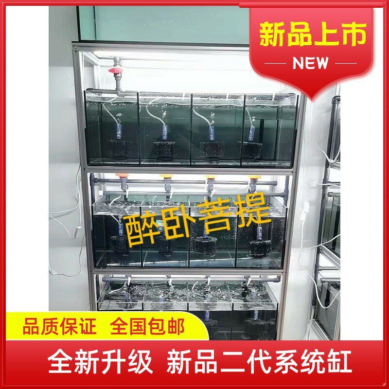 海缸科孔雀鱼系统缸繁殖组缸现货尺寸灯设备底座虎皮虾客厅观赏