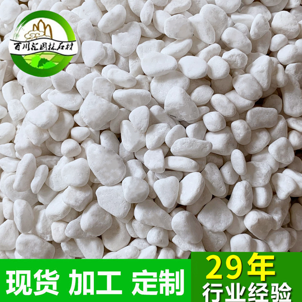 现货白色小石子白石米机制装饰多肉植物盆栽鹅卵石石水洗石胶粘石