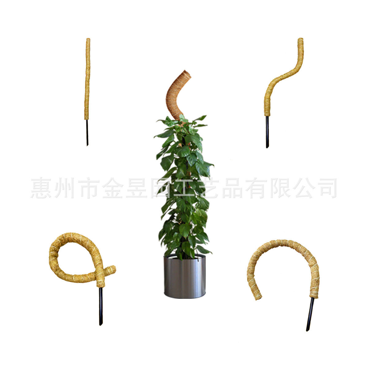 龟背竹支撑柱大叶绿萝支撑柱棒支柱椰棕海芋棕榈柱苔藓柱爬藤支撑,鲜花速递/花卉仿真/绿植园艺,园艺用品套装,淘宝优惠券,粉丝福利购,淘宝优惠卷