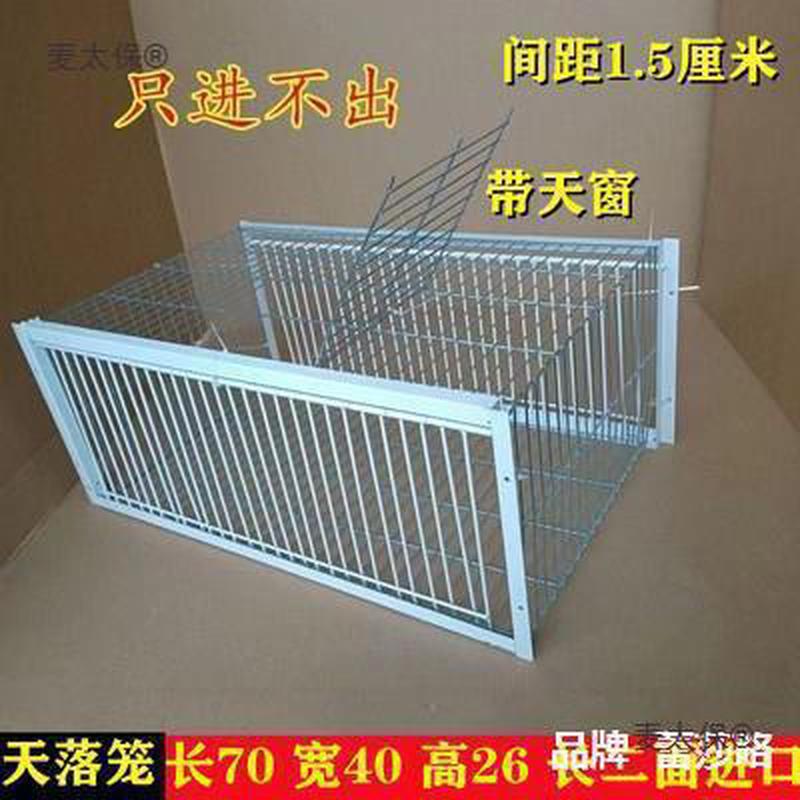 信鸽天落笼自动收鸽笼不锈钢神器鸽子捕鸽只进不出全自动加麦太保