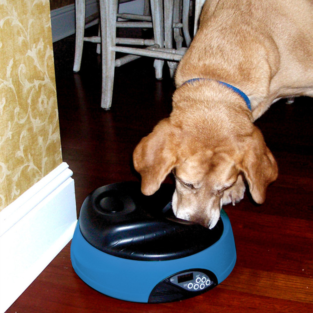 [petlove]宠物自动喂食器狗猫定量4餐猫狗自动喂食器定时喂食