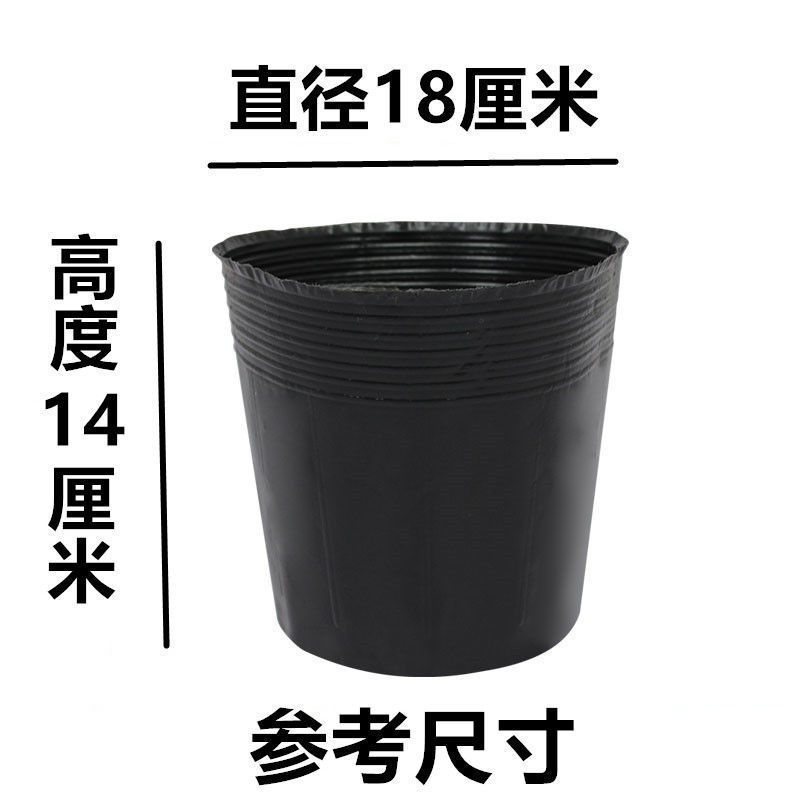 营养杯育苗袋一次性黑色营养杯育苗袋大号播种植塑料育苗盆营养钵
