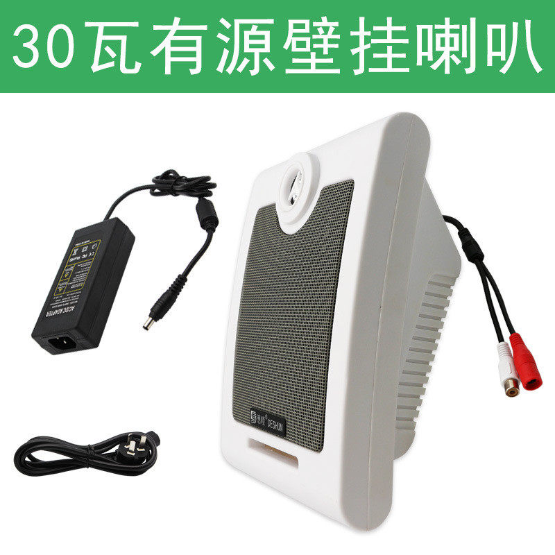 德顺615WDC有源壁挂式30W音箱监控带功放喇叭公园店铺广播音响