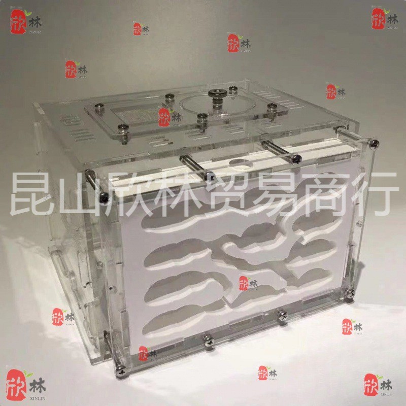 石膏蚁巢巢生亚克力城堡试管宠物生日特硬蚁巢宠物混凝土散装长宽