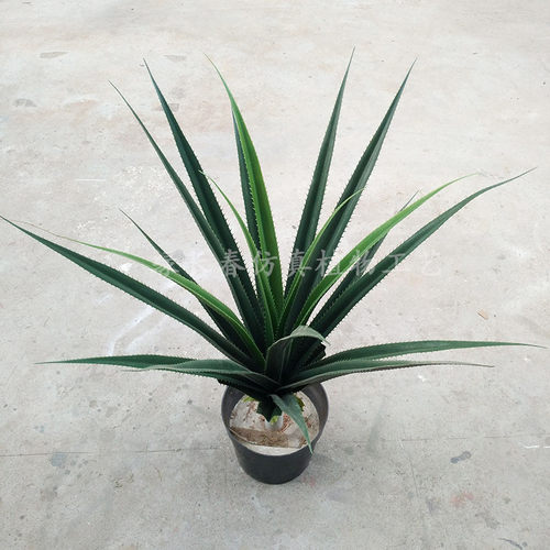 厂家仿真盆栽绿植剑麻剑兰龙舌兰一帆风顺园林造景绿植假树装饰