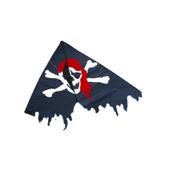 潍坊风筝风筝风筝大三角风筝骷髅头成人风筝黑色海盗