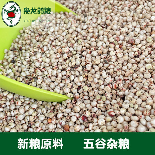 枭龙鸽粮白高粱赛食鸽子鸽信鸽观赏鸽澳粮批发50斤