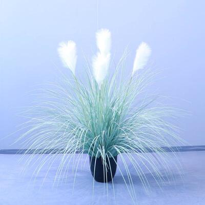 仿真芦源头洋葱草人造植物盆景室内装饰盆景网红草苇草厂家