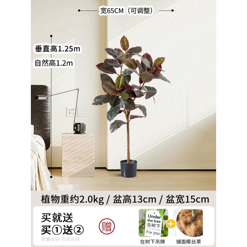 仿真绿植橡皮树假树高端玄关装饰花植物盆栽轻奢室内客厅落地摆设