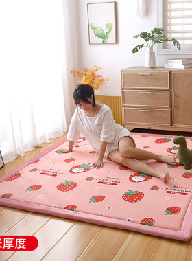 wm9a定做榻榻米床垫卧室客厅加厚炕床农村火炕电热炕垫子大地垫