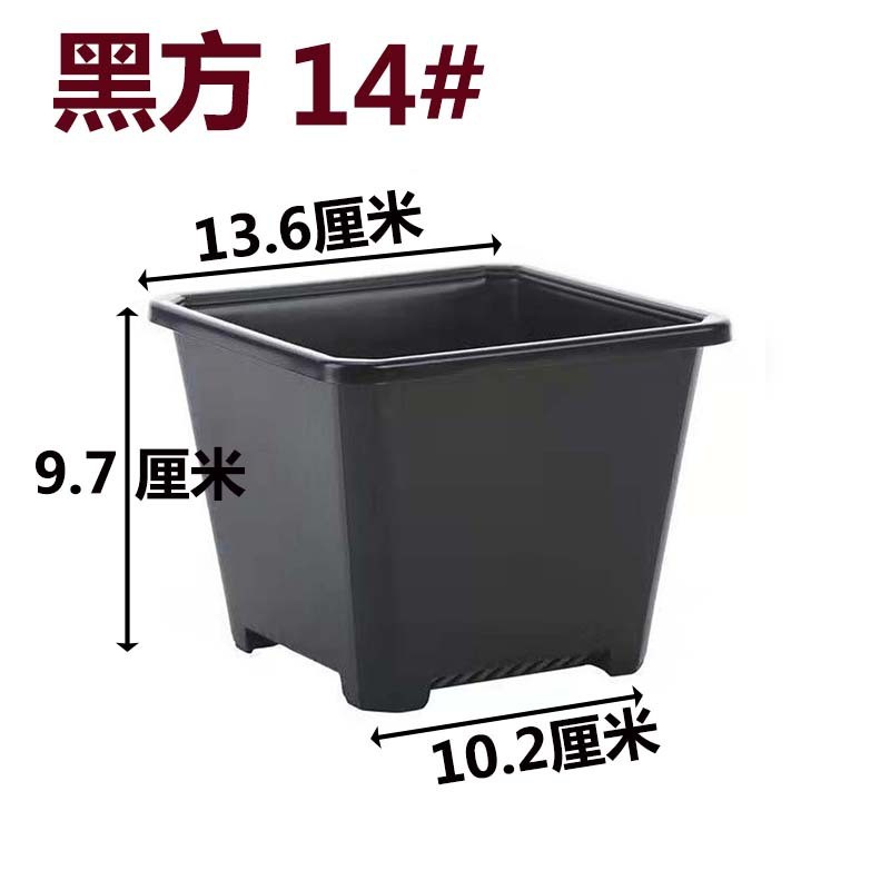 景天盆黑方白方多肉育苗盆批发花盆加厚电商黑色白色方盆基地