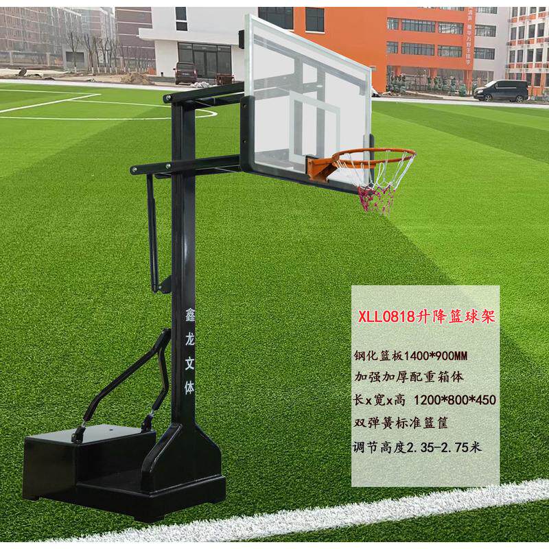 标准可青少年儿童户外休闲球架移动篮球架学校家用可扣篮篮框