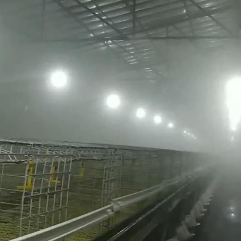 加湿造雾除尘雾线喷头园林景观喷淋微雾机 工地用高压造雾加湿器