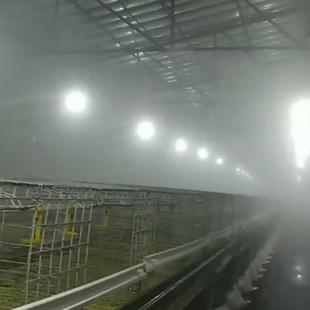 加湿造雾除尘雾线喷头园林景观喷淋微雾机 工地用高压造雾加湿器