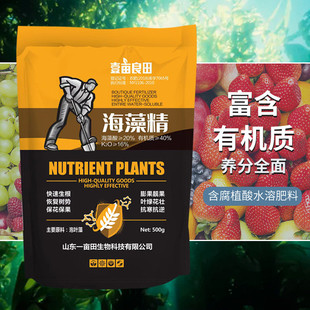 海藻精农业水产精高含量海藻有机肥料叶面土壤改良水溶肥批发