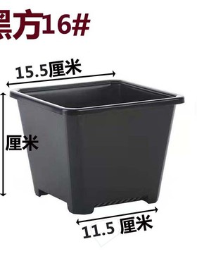 景天盆黑方白方花盆育苗盆基地多肉加厚电商黑色白色方盆批发