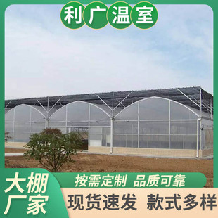 PC阳光板玻璃大棚加工 玻璃温室 智能温室 生态餐厅 连栋温室