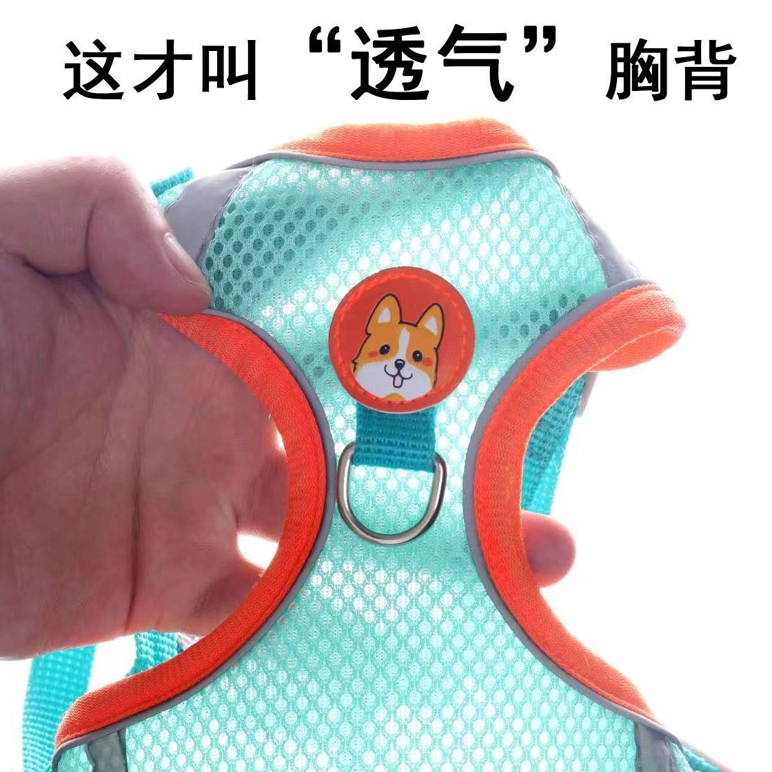 宠物猫咪牵引绳防挣脱外出专用遛猫绳背心式胸背带猫绳子狗绳