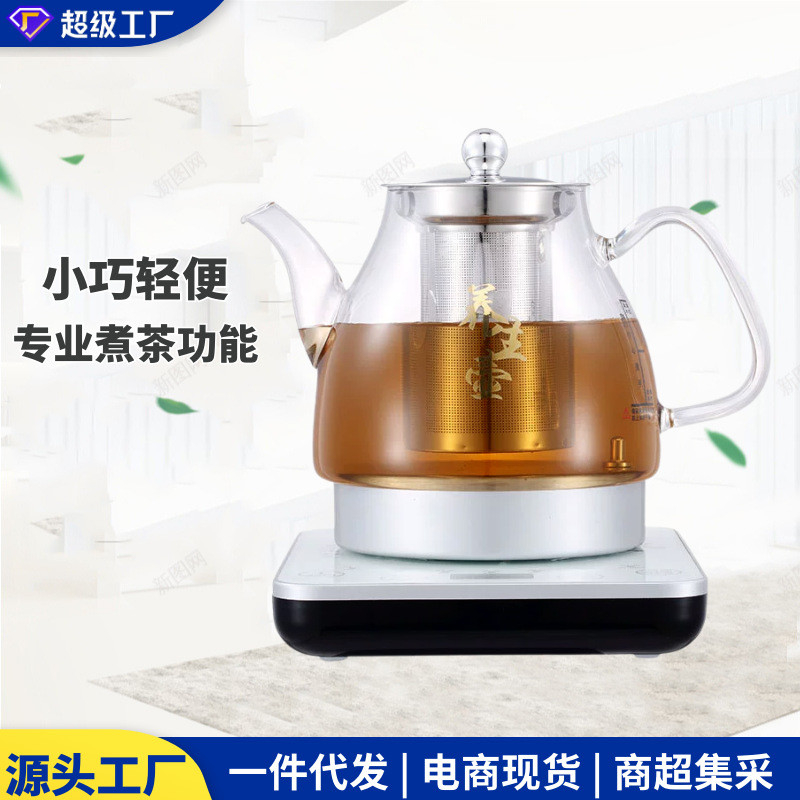 养生壶办公室小型迷你茶壶玻璃烧水壶电热煮茶壶中药锅家用
