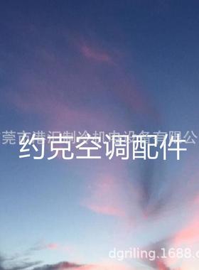 约克配件025-52739-000025-41573-000