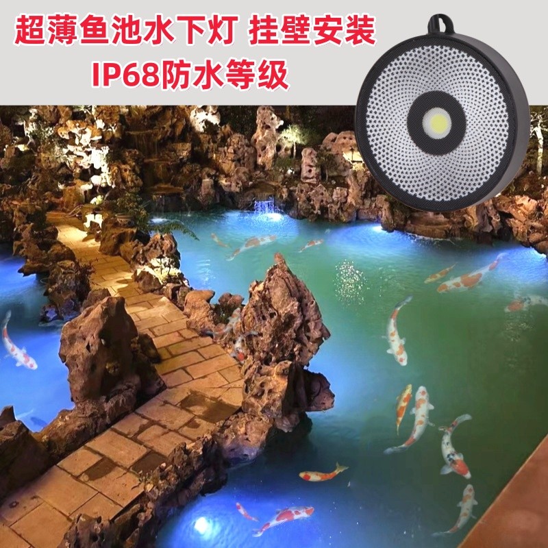 ANN12低压24V水下灯水池灯锦鲤鱼池灯免打孔冰蓝光挂壁安装水底灯