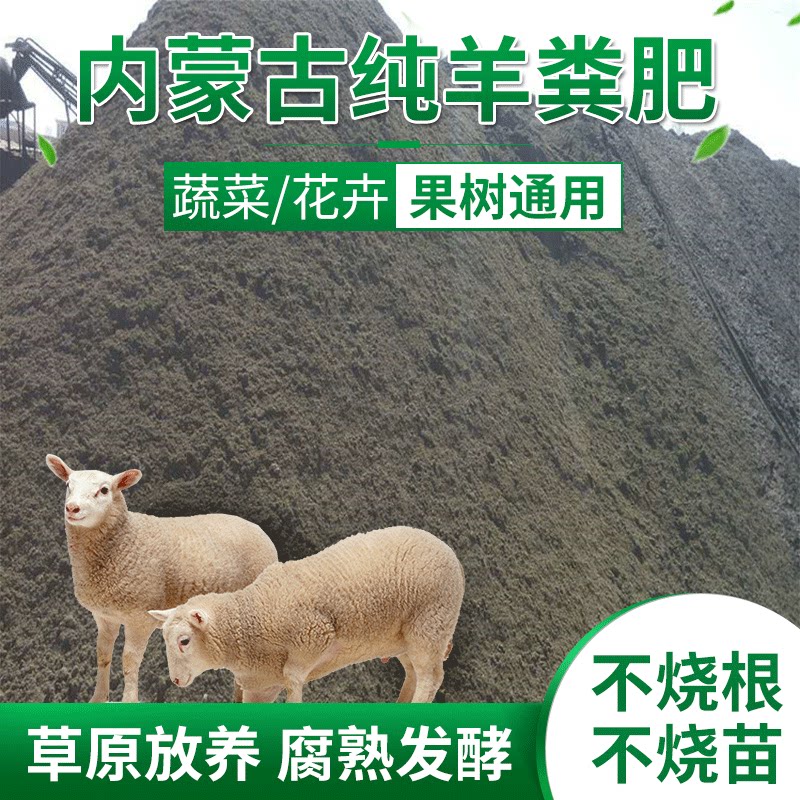 内蒙古厂家草原纯羊粪肥起圈肥有机肥腐熟纯羊粪发酵发酵整吨批发