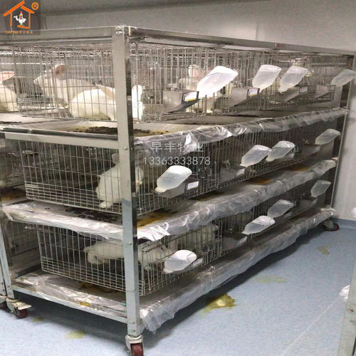 实验用兔笼实验用鸽笼实验用豚鼠笼实验用鸡笼豚鼠架