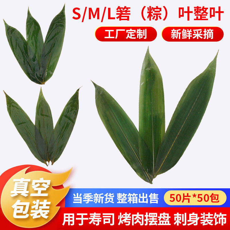 S/M/L码箬（粽）叶整叶50片*50包整箱真空包装日式餐厅摆盘装饰叶