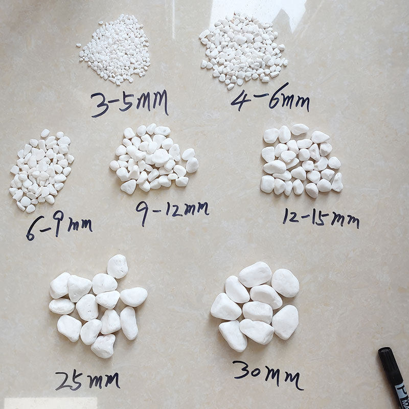 现货批发花卉卵石白石子庭院花园园林铺路别墅装饰机制白水培