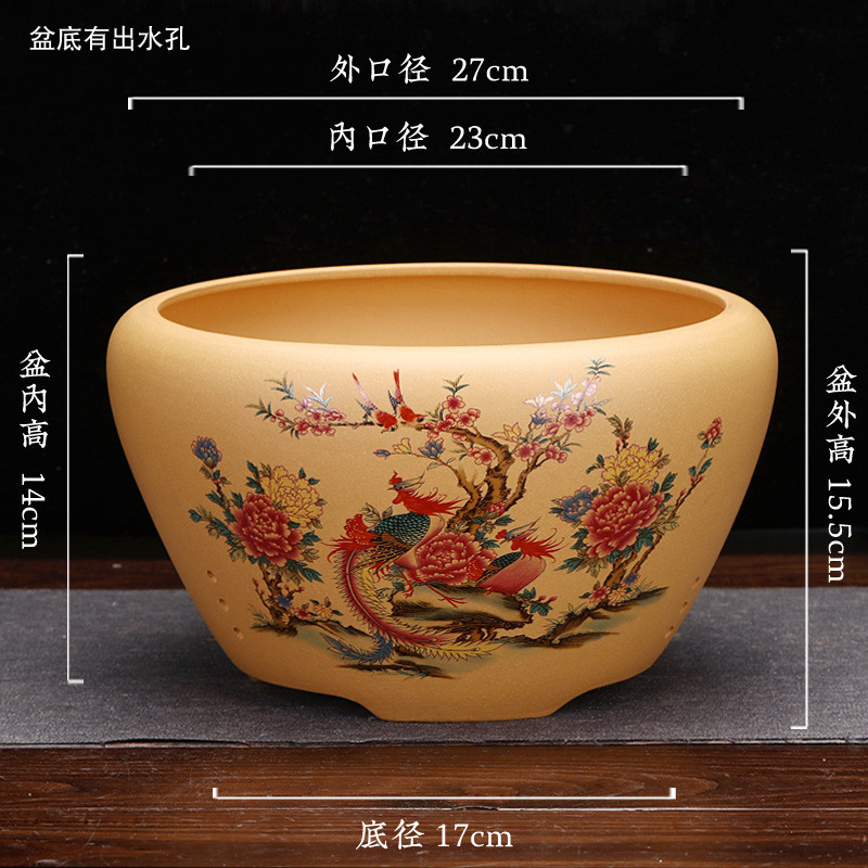 宜兴紫砂花盆水洗兰花盆绿植绘点彩君子兰绿萝吊兰春兰花卉刻批发