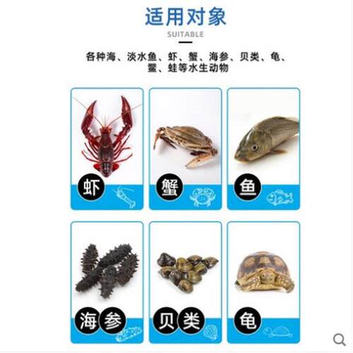 复合藻水产水产养殖小球藻绿藻硅藻种鱼虾蟹塘种复合藻种肥水培藻