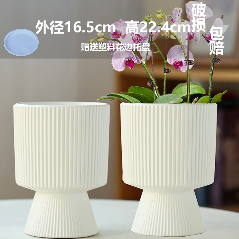 网红爆款蝴蝶兰花盆专用陶瓷兰花简约白色花盆多肉花盆