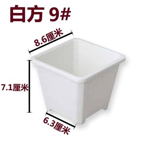 景天盆基地白方多肉盆厂家批发多肉育苗盆基地花盆电商黑方用