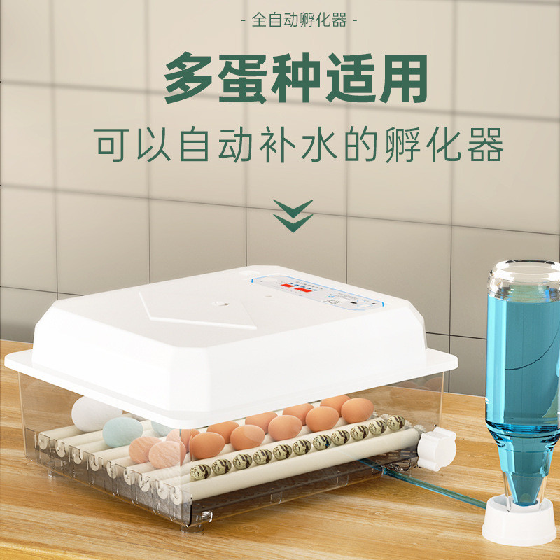 智能家用型孵蛋器鸡苗水床孵化箱小鸡孵化器小型家用孵化机