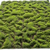 装 饰苔藓绿色青苔草坪仿真草皮背景墙橱窗盆景绿植仿真人造假青苔